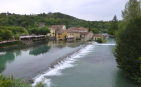 Battle of Borghetto