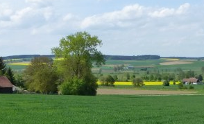 Battle of Eckmuhl