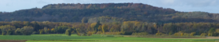 Les déplacements de Napoléon pendant la campagne de France