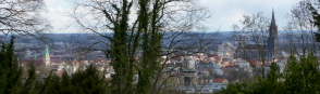 Bataille d'Ulm