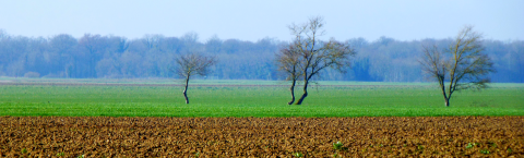 Champs de bataille
