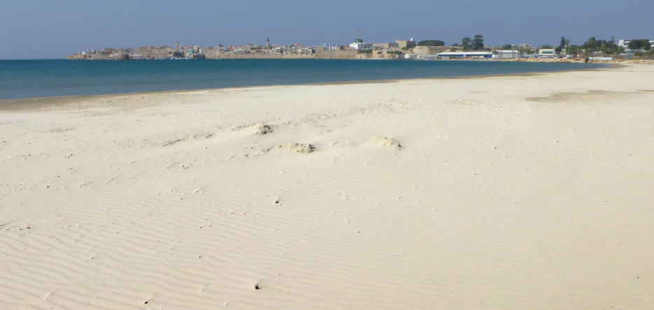 The bay, south of Acre
