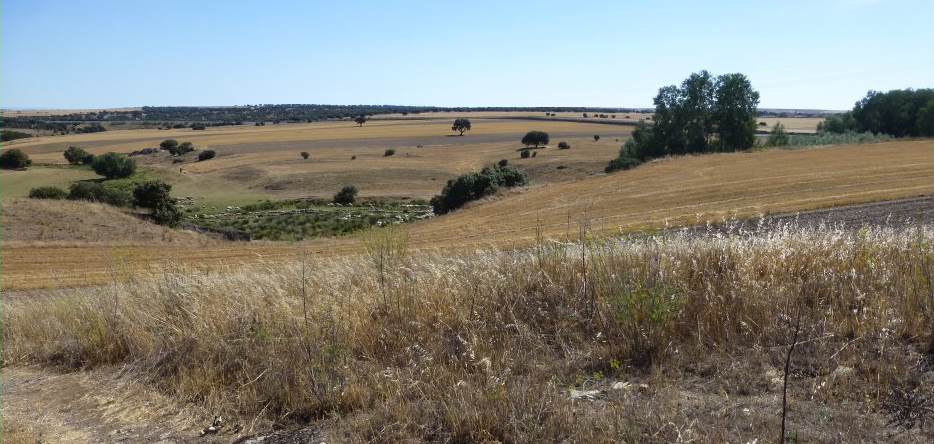 Le Teston de la Cabaña, au sud du village Los Arapiles Le Teston de la Cabaña, situé au sud du village Los Arapiles