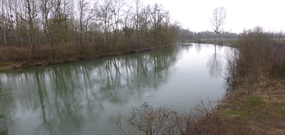 La rivière Aube