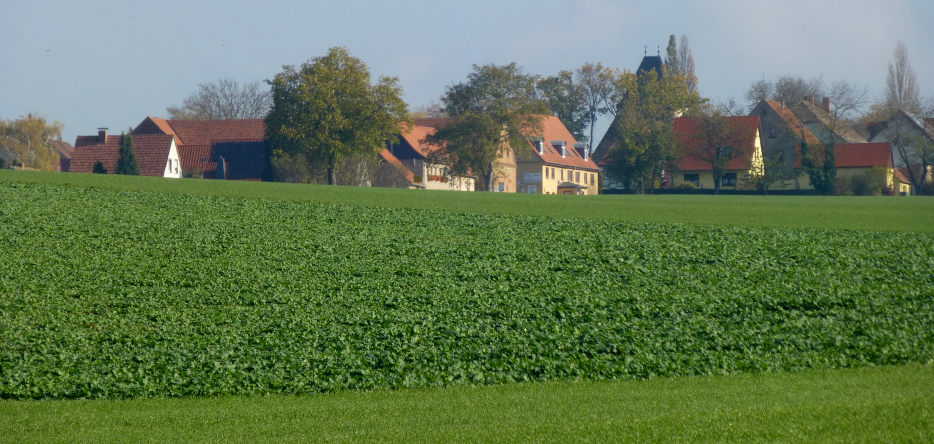 General view of Hassenhausen Hassenhausen, general view