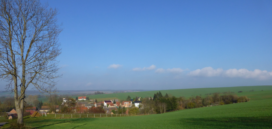 Le champ de bataille à Rehehausen Le champ de bataille près de Rehehausen
