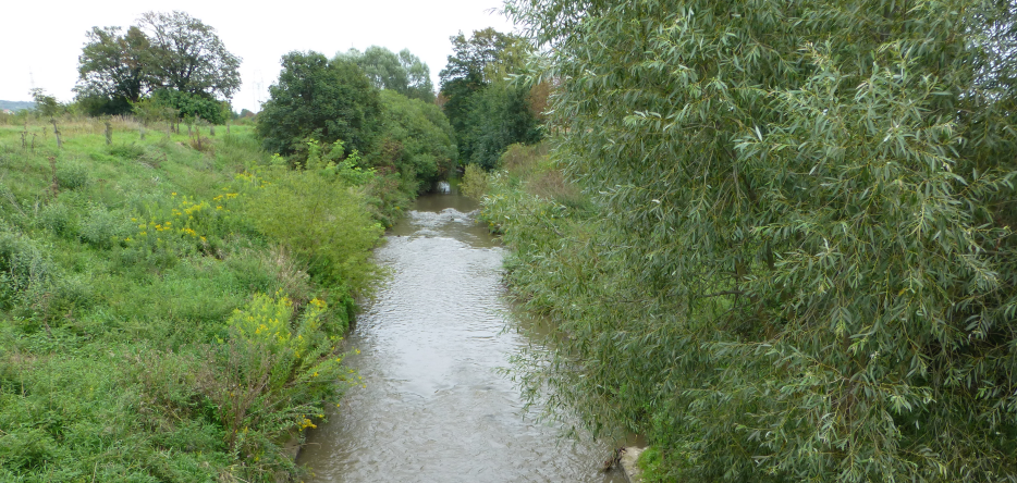 Le Goldbach Le ruisseau Goldbach