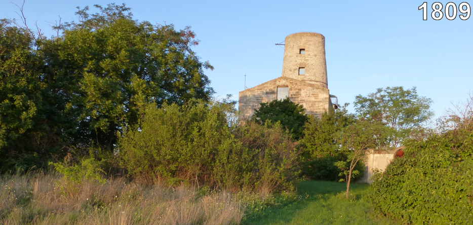 La tour de Markgrafneusiedl