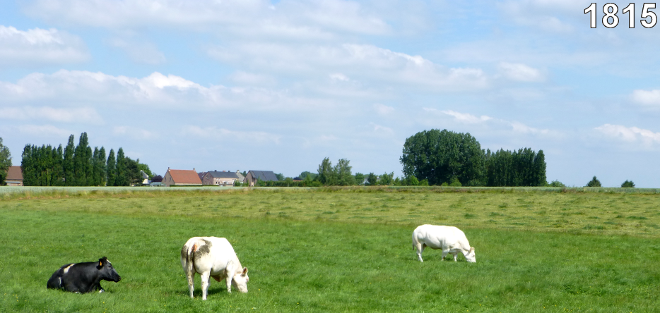 Bataille de Ligny Bataille de Ligny
