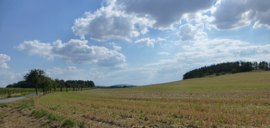 Le champ de bataille entre Kreckwitz et Pliesskowitz Vue du champ de bataille entre Kreckwitz et Pliesskowitz