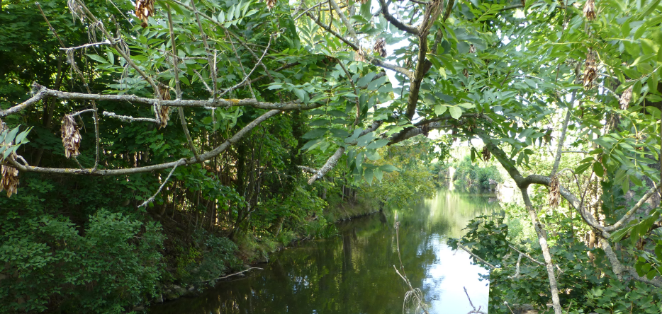 La rivière Sprée près de Bautzen, en Saxe La rivière Sprée près de Bautzen