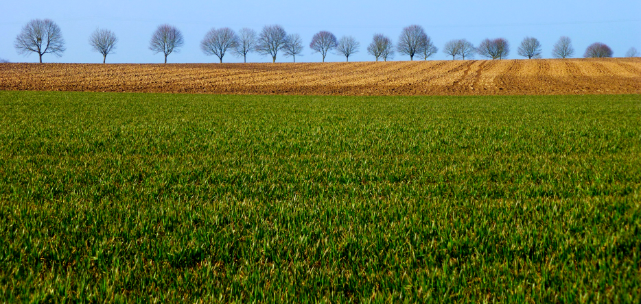 The battlefield near the hamlet of La Caure The battlefield near La Caure