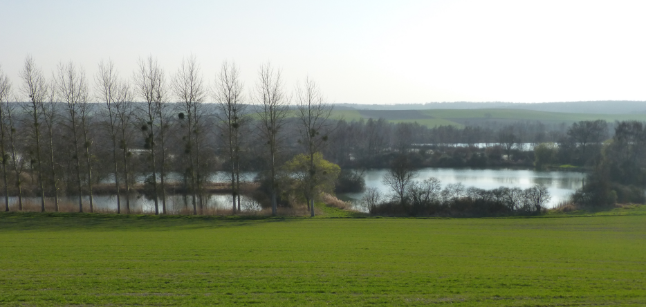 The marshes of Saint-Gond, south of Champaubert Saint-Gond marshes, south of Champaubert