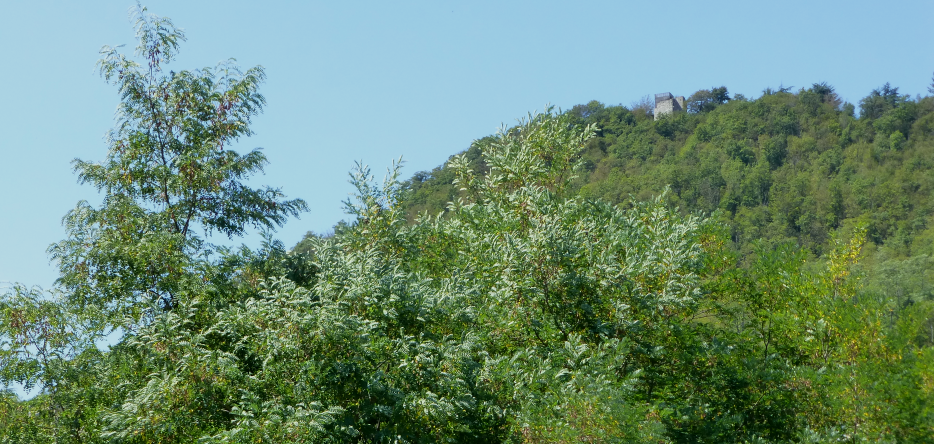 La colline et à son sommet les ruines du château de Cosseria La colline et les ruines du château de Cosseria à son sommet