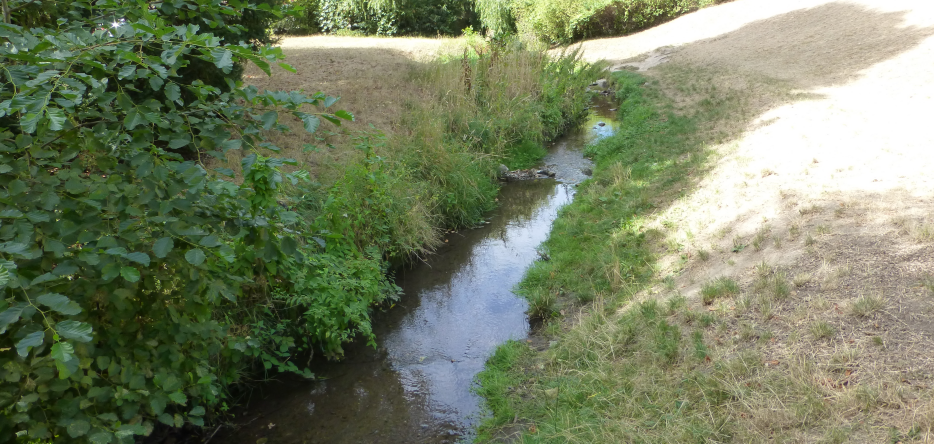 Le Kaitzbach