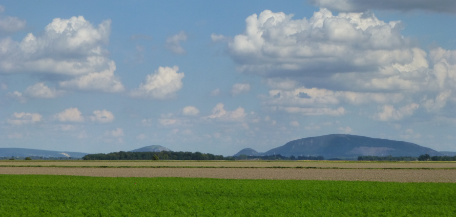 Plaine de Marchfeld
