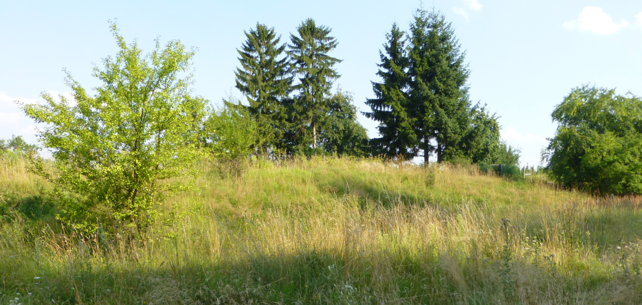 La butte du 14ème de ligne à Eylau