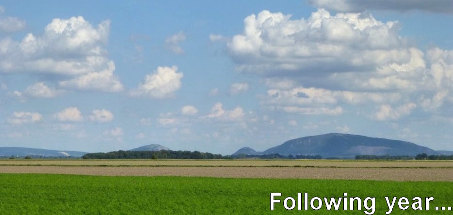 Ensuing year: 1809