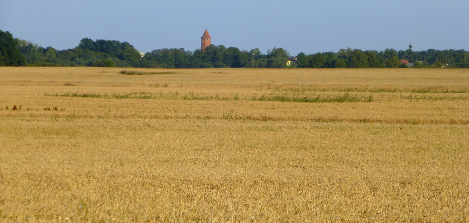 Le champ de bataille à Friedland