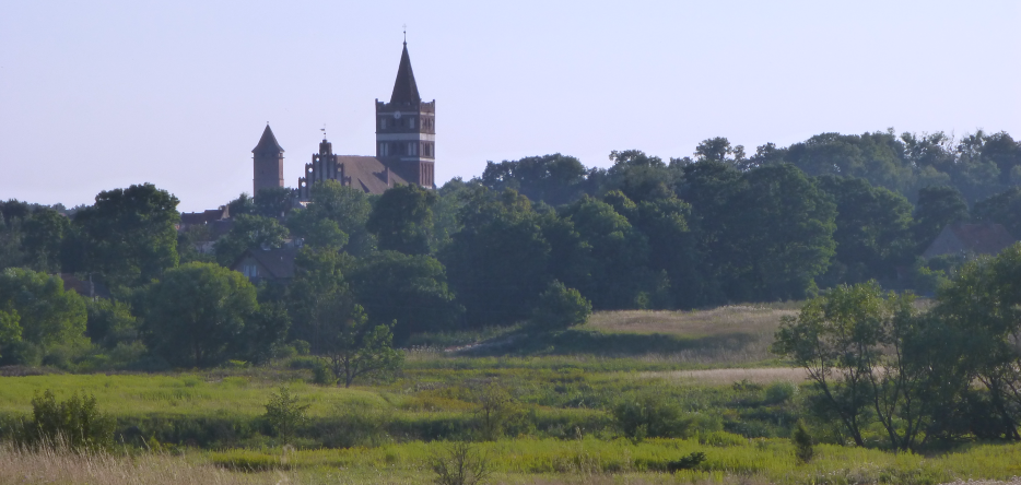 Friedland: the Saint-George church and the woods surrounding the town