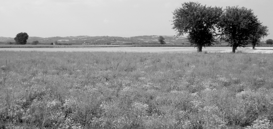 Marengo Battlefield