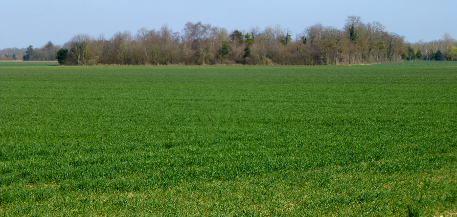 The location of the Beugné farm, which no longer exists today The location of the Beugné farm, which has now disappeared