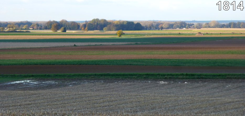 The battlefield near Morvilliers La Rothière: the battlefield near Morvilliers
