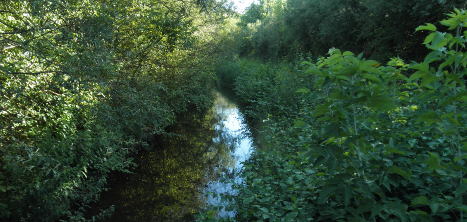 Le Flossgraben