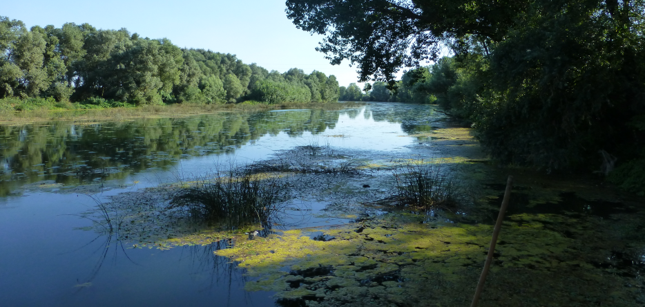 The river Bormida near Alessandria
