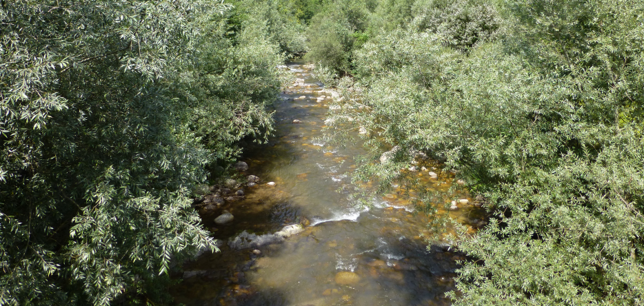 The Corsaglia river, not far from San Michele The Corsaglia river, near San Michele