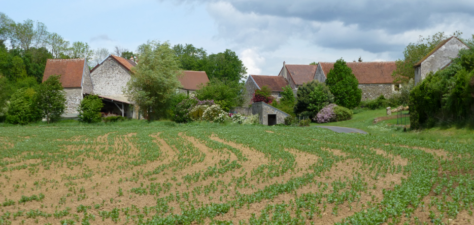 Le lieu-dit La Meulière La Meulière