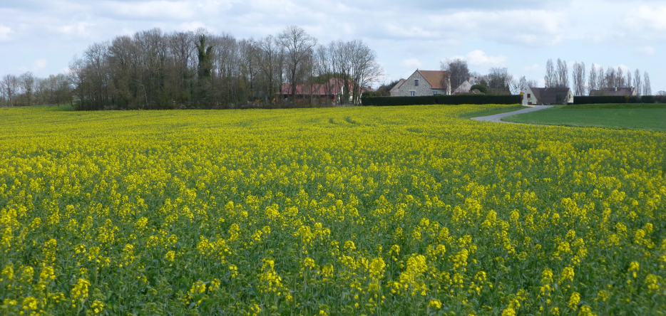 Le hameau du Tremblay Le Tremblay