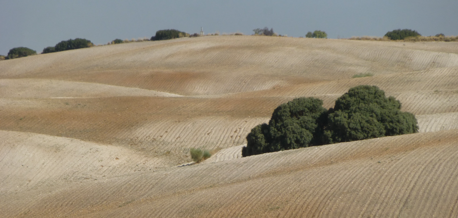 Des collines entre Aranjuez et Ontigola Des collines entre Aranjuez et Ontigola