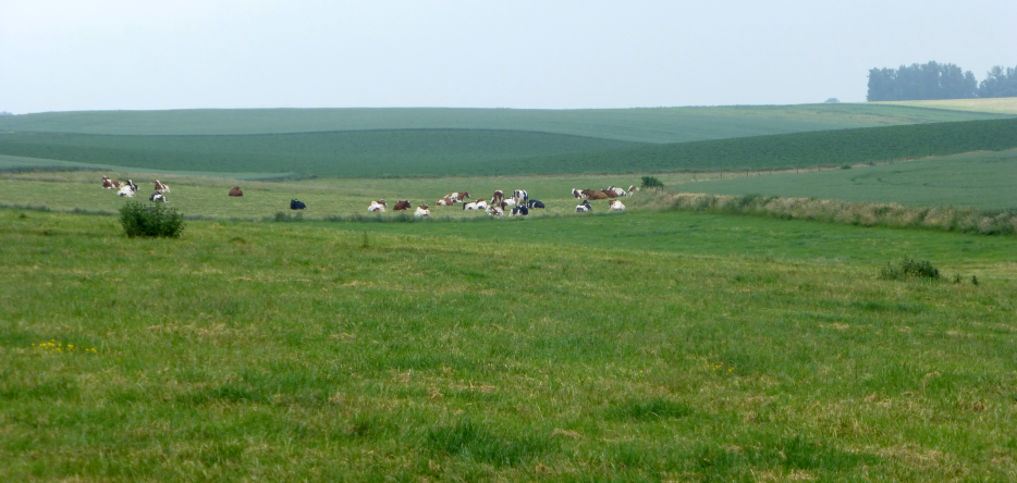 Le champ de bataille des Quatre-Bras