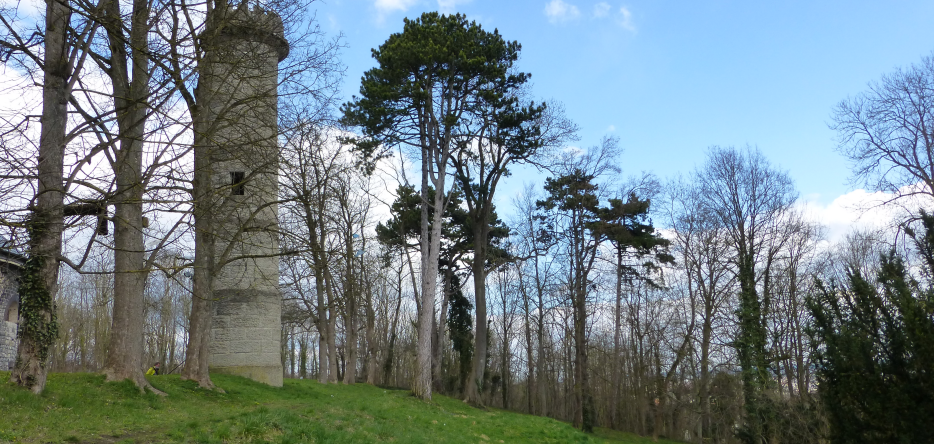 Les hauteurs du Michelsberg, au nord-nord-ouest d'Ulm Ulm : les hauteurs du Michelsberg