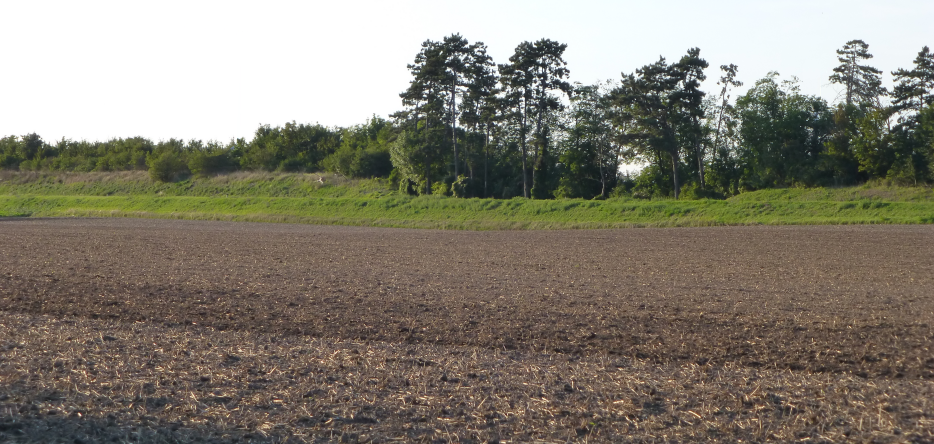 Le plateau de Wagram Plateau de Wagram
