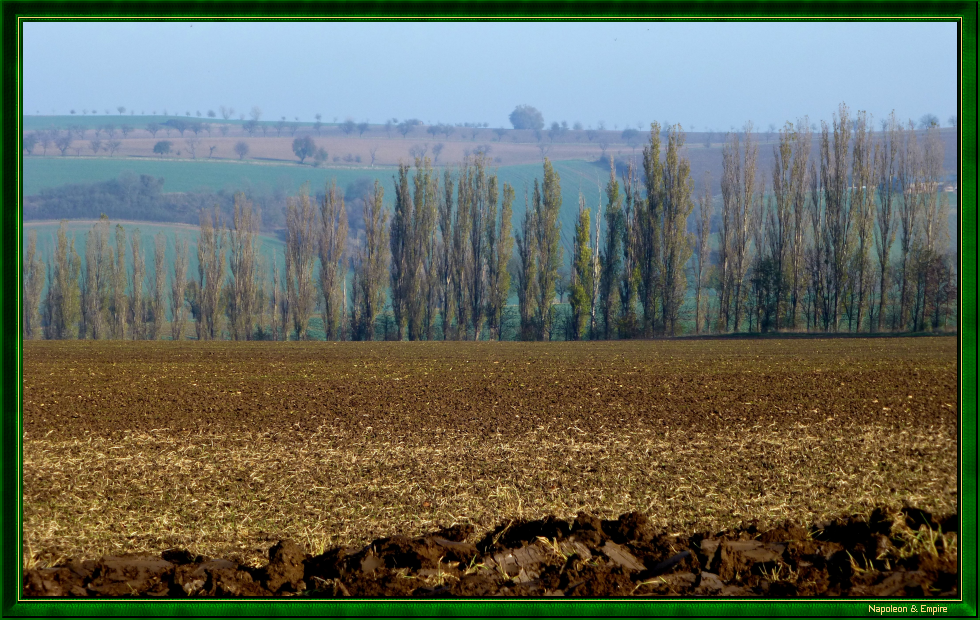 Battlefield near Auerstedt, view 2