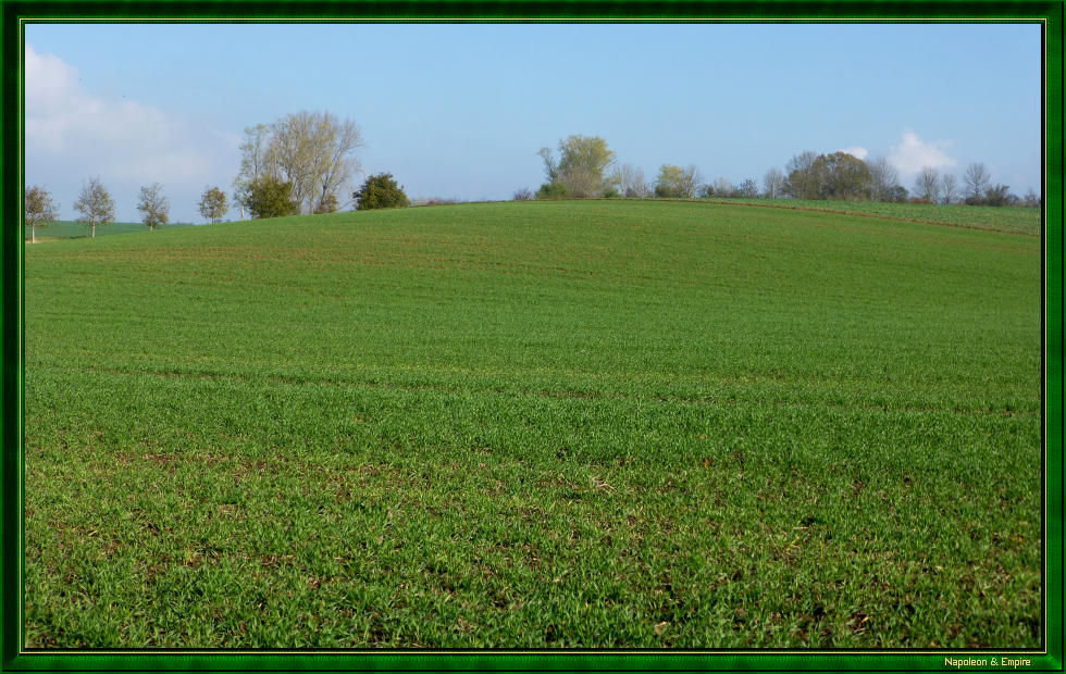 Field between Hassenhausen and Taugwitz, view 2