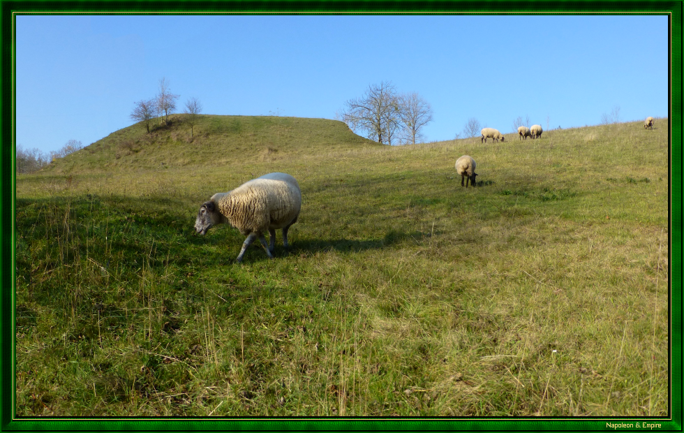 Sur le Sonnenberg