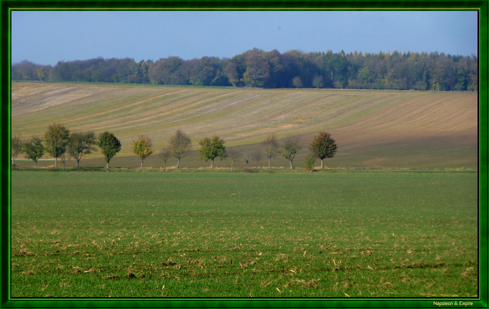 Le champ de bataille près de Spielberg