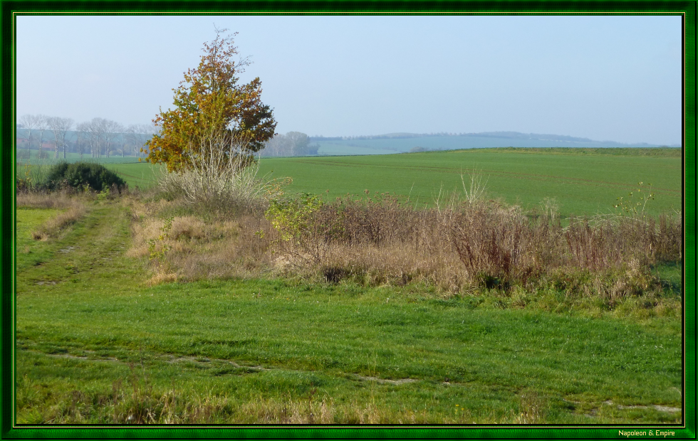 Au sud-ouest de Taugwitz