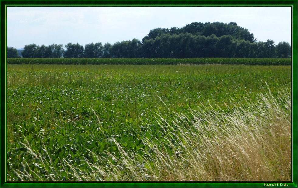 Le champ de bataille à Purschwitz