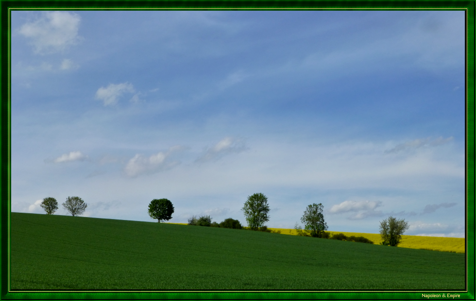 Le champ de bataille d'Eckmühl, vers Pfakoffen