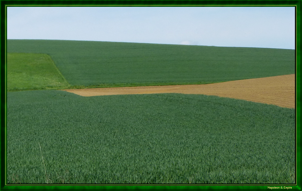 Champ de bataille entre Unterlaichling et Oberlaichling (vue numéro 2)