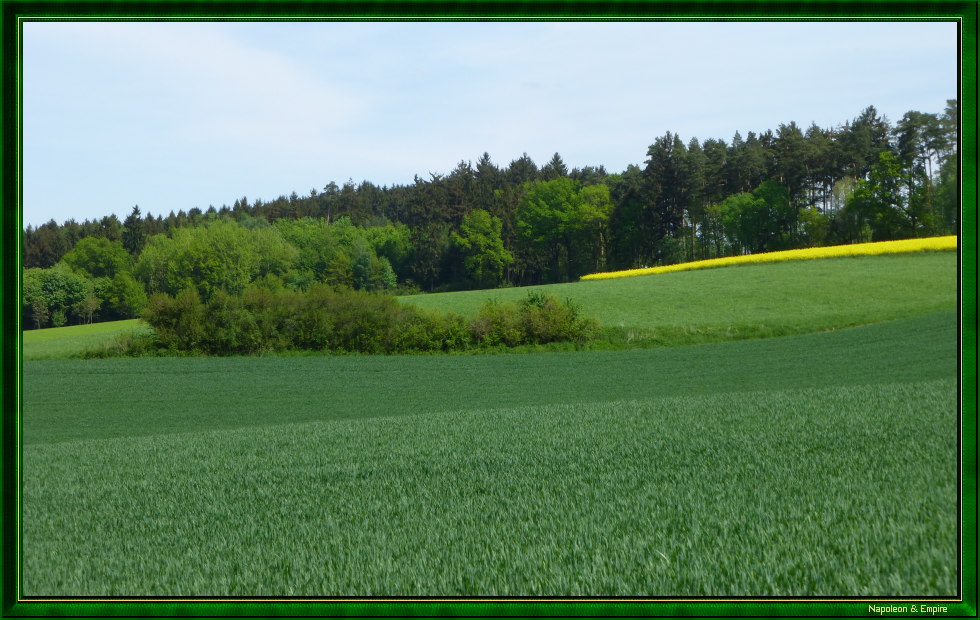 Woods above Oberlaichling and Unterlaichling (view number 4)