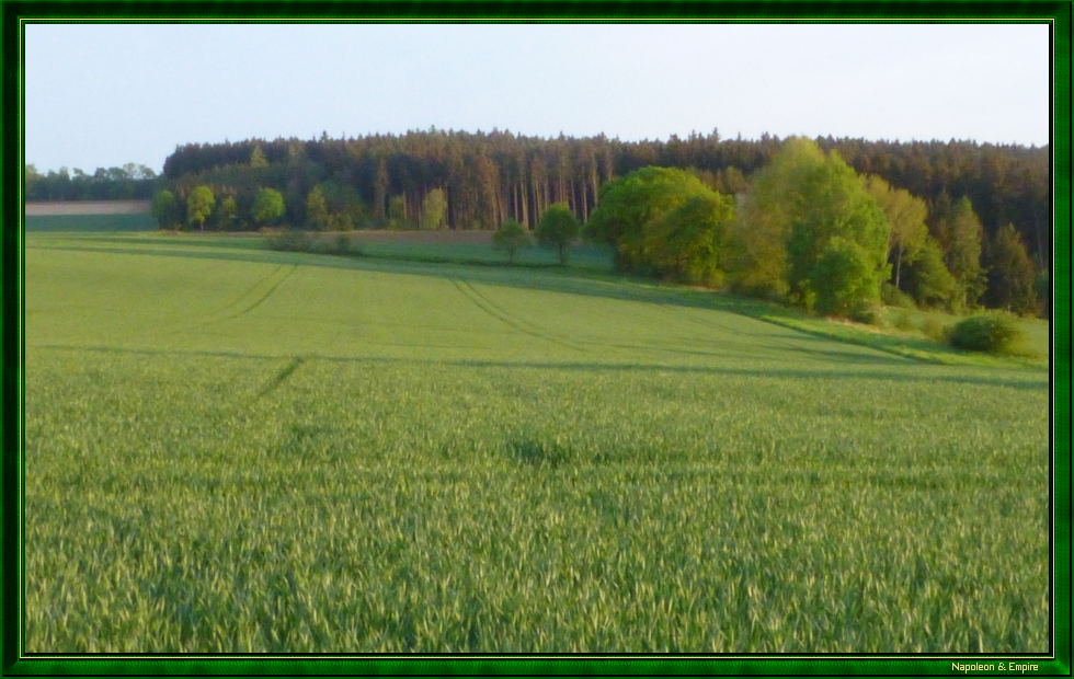 Surroundings of Weilhohe