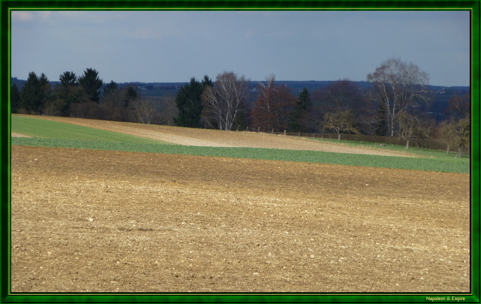 Elchingen battlefield