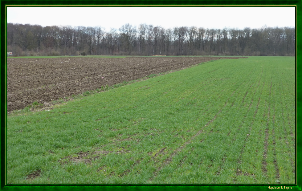 Prairie en contrebas d'Elchingen (vue numéro 2)
