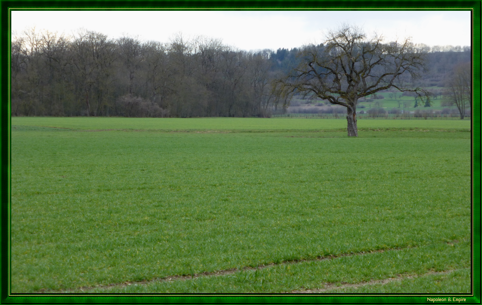 Prairie en contrebas d'Elchingen (vue numéro 3)