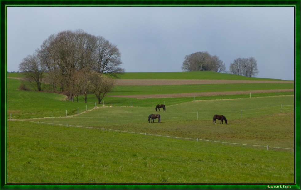 Battlefield near Hohenlinden (view number 1)